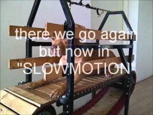 fastest slatmill  treadmill dog