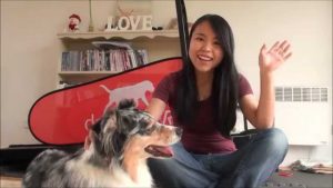 Pet Product Review #06 - DogPacer Treadmill